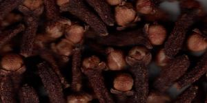 Clove Seeds