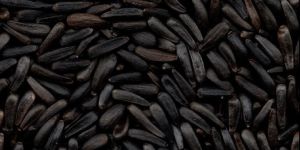Niger Seeds