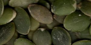 Natural Pumpkin Seeds