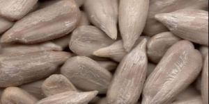 Sunflower Seeds