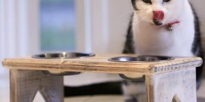 Wooden Dog Bowl Stand