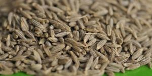 Cumin Seeds