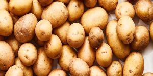 Fresh Potato