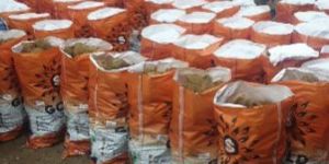 Fully Husked Coconut