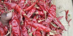 AC Sannam Best Plus Red Chillies
