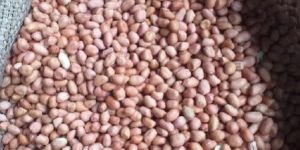 GROUNDNUT KERNELS 50/60