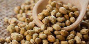 Coriander Seeds