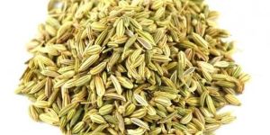 Fennel Seeds