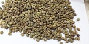 Unwashed Arabica Coffee Beans