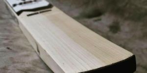 English Willow Cricket Bats