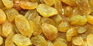 Raisin