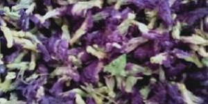 Fresh Flowers