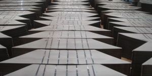 CRGO Lamination Core