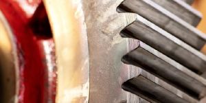 Spur Gear
