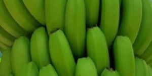 Green Banana