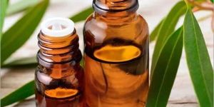 Eucalyptus Oil