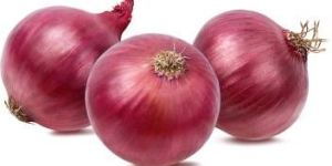 Fresh Big Onion