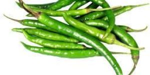Fresh Green Chilli