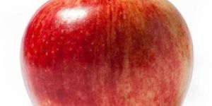 Fresh Red Apple