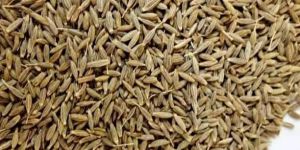 Cumin Seeds