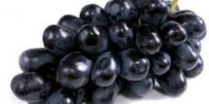 Fresh Black Grapes