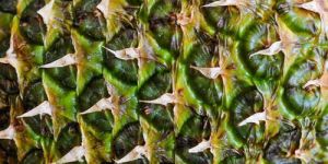 Premium Raw Pineapple