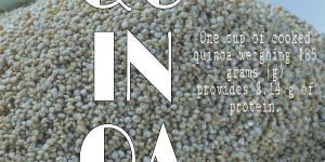 Title - Tek Quinoa Seeds Gluten Free Quinoa (3kg)