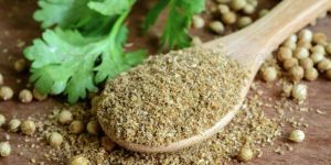 Coriander Powder