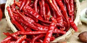 Dry Red Chilli
