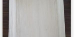 Areca Leaf Rectangle Plates