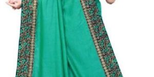 Embroidery Sarees