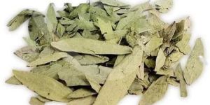 Senna Leaves