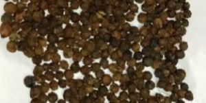 Black Pepper Seeds