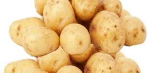Fresh Potato