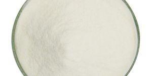 Lactase Enzyme Powder