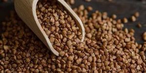 Buckwheat Seeds