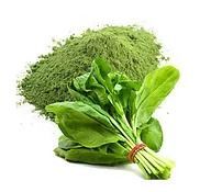 Spinach Powder