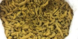 Turmeric Finger