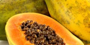 Fresh Papaya
