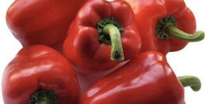 Fresh Red Capsicum