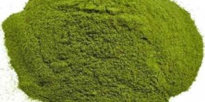 Wheat Grass Powder