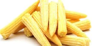 Fresh Baby Corn