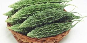 Fresh Bitter Gourd