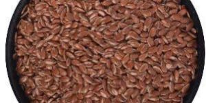 Flax Seeds