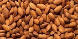 Almond Nuts