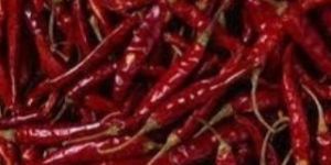 Dried Red Chilli