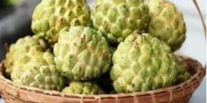 Fresh Custard Apple