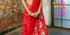 Net Lehenga Choli