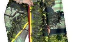 DIGITAL PRINTED SILK SAREE