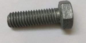 Stainless Steel Hex Bolts